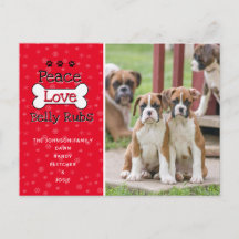 Von den Weihnachtskarten des Hundes