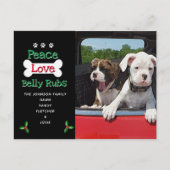 Von den Weihnachtskarten des Hundes Postkarte (Vorderseite)