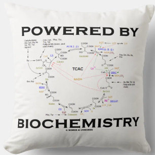 Von der Biochemie beherrscht Krebs Cycle Geek Spaß Kissen