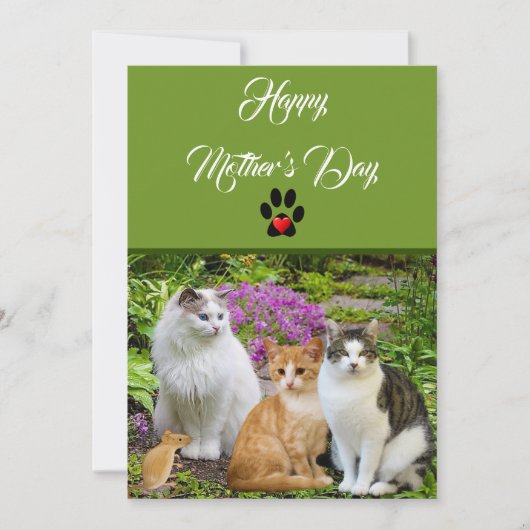 Von der Cat Happy Mother Day Flat Card Einladung (Vorderseite)