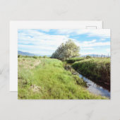 Von der Creek-Postkarte nach unten Postkarte (Vorne/Hinten)