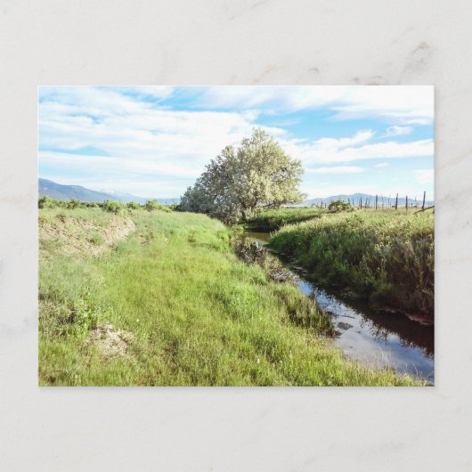 Von der Creek-Postkarte nach unten Postkarte (Vorderseite)