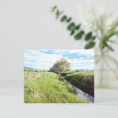 Von der Creek-Postkarte nach unten Postkarte (Stehend Vorderseite)