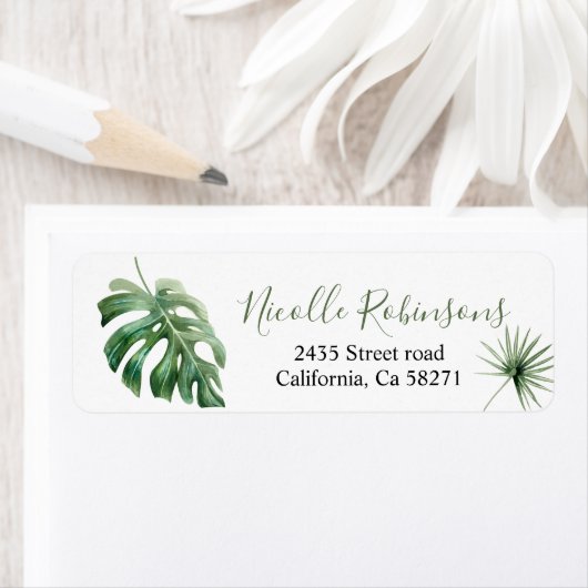 von der Direktion Tropische Monstera (Insitu)