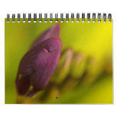 Von der Erde reichlich Kalender (Titelbild)