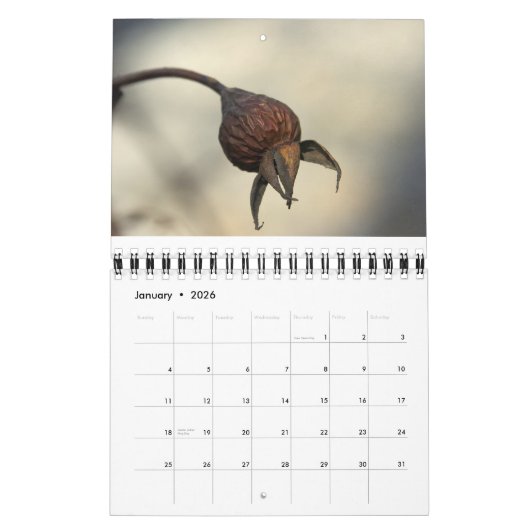 Von der Erde reichlich Kalender (Jan 2026)