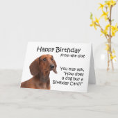 Von der Geburtstagskarte der Dackel Karte (Gelbe Blume)