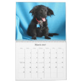 Von der Gefahr für sichere Hände Kalender (Mär 2027)