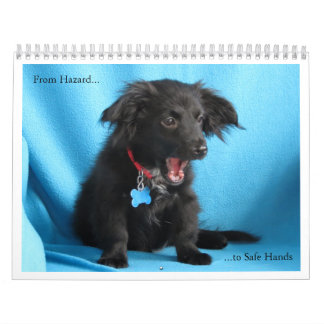 Von der Gefahr für sichere Hände Kalender