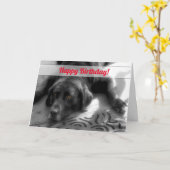 von der Gruppe Birthday Labrador Dog Karte (Gelbe Blume)