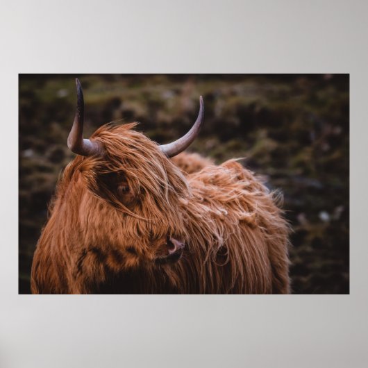 VON DER NATU INSPIRIERT DRAMATISCHE UND MOODISCHE POSTER (Vorne)