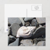 Von der Postkarte am Meer (Vorne/Hinten)