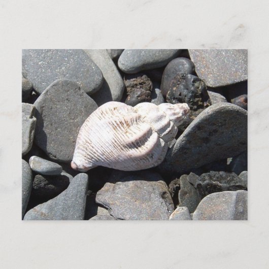 Von der Postkarte am Meer (Vorderseite)
