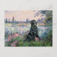 Von der Seine - flach überzogener Retriever