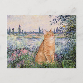 Von der Seine - Orange Tabby Sh Katze 46 Postkarte
