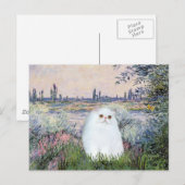 Von der Seine - weißes persisches Kätzchen #49 Postkarte (Vorne/Hinten)