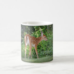 Von der Wald-Tasse gepflegt Kaffeetasse