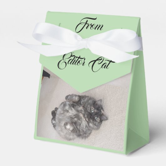 Von Editor Cat by RoseWrites Gefälligkeitsbox Geschenkschachtel (Vorderseite)