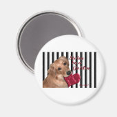 Von einem Golden Magnet (Vorderseite/Rückseite)