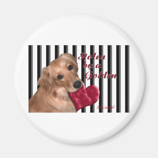 Von einem Golden Magnet (Vorne)