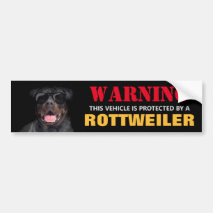 Von einem Rottweiler geschützt Autoaufkleber