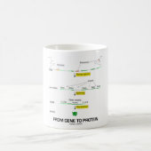 Von Gen zu Protein Kaffeetasse (Mittel)