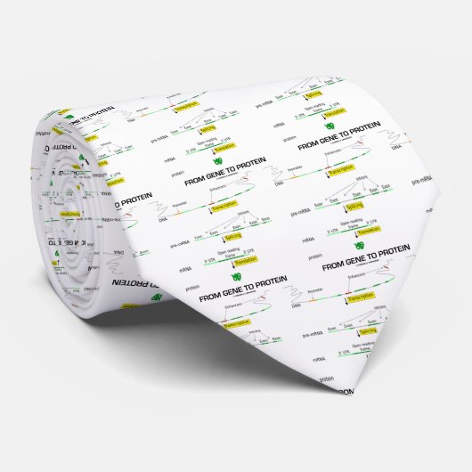 Von Gen zu Protein Krawatte (Gerollt)