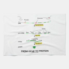 Von Gen zu Protein Küchentuch