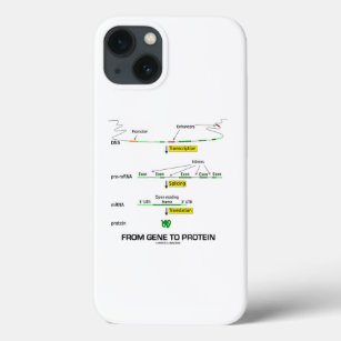 Von Gen zu Protein Molekularbiologie Case-Mate iPhone Hülle