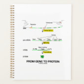 Von Gen zu Protein Molekularbiologie Planer (Vorderseite)