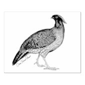 Von Hand gezeichnet Chinesisch Horned Pheasant Hol Gummistempel (Prägung)