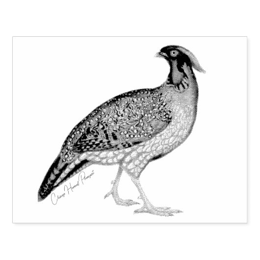 Von Hand gezeichnet Chinesisch Horned Pheasant Hol Gummistempel (Prägung)