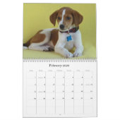 Von Harlan zu den sicheren Händen Kalender (Feb 2026)