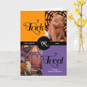 Von Haustier Trick oder Treat Halloween zwei Fotos Karte (Gelbe Blume)