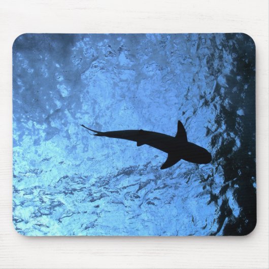 Von hinten beleuchteter Haifisch Mousepad (Vorne)