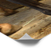 Von hinten poster (Ecke)