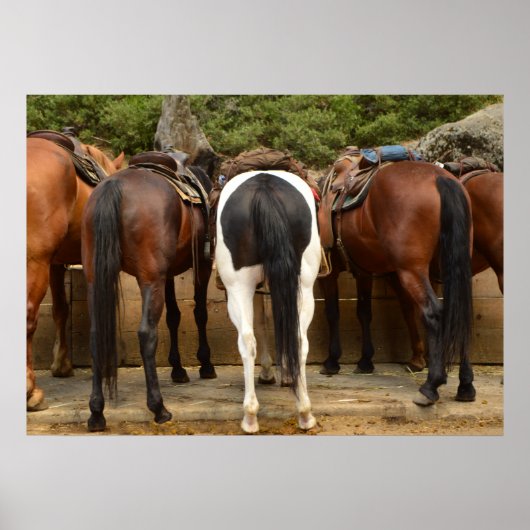 Von hinten poster (Vorne)