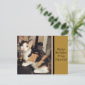Von Ihrer Katze Geburtstag Grußkarte Postkarte (Stehend Vorderseite)