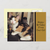 Von Ihrer Katze Geburtstag Grußkarte Postkarte (Vorne/Hinten)