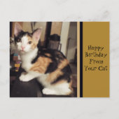 Von Ihrer Katze Geburtstag Grußkarte Postkarte (Vorderseite)
