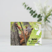 Von meinem Nacken des Waldes zu deiner Postkarte (Stehend Vorderseite)