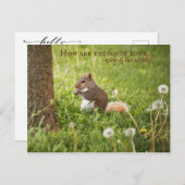 Von meinem Nacken des Waldes zu deiner Postkarte (Vorne/Hinten)