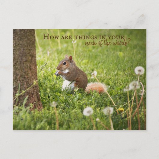 Von meinem Nacken des Waldes zu deiner Postkarte (Vorderseite)