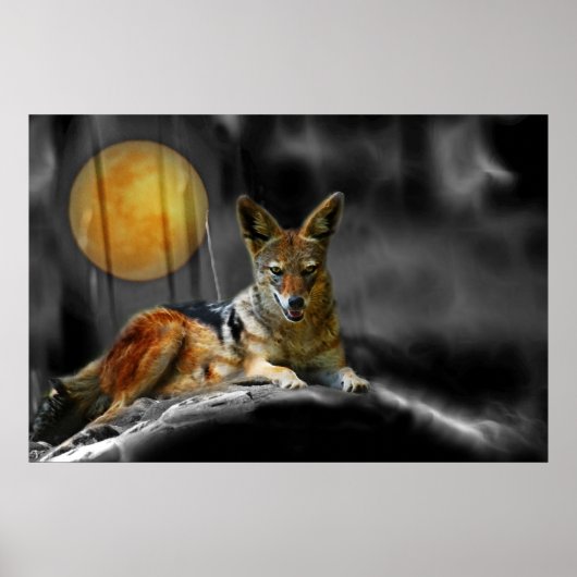 Von Mondlicht Poster (Vorne)