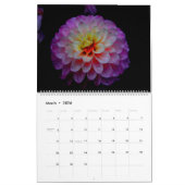 Von Nahem Kalender (Mär 2026)