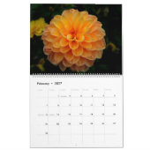 Von Nahem Kalender (Feb 2027)