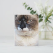 Von Nahem Postkarte (Stehend Vorderseite)