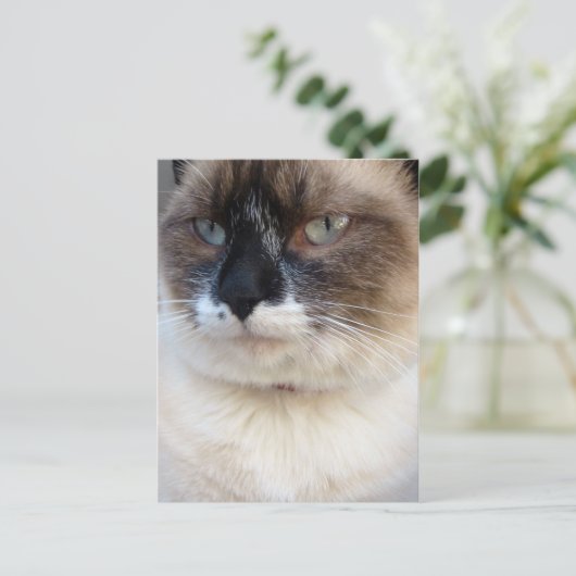 Von Nahem Postkarte (Stehend Vorderseite)