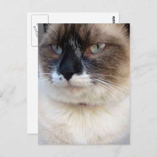 Von Nahem Postkarte (Vorne/Hinten)