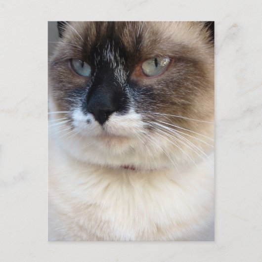 Von Nahem Postkarte (Vorderseite)